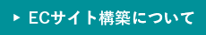 ECサイト構築について